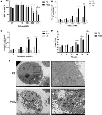 The attenuated Mycoplasma bovis strain promotes apoptosis of bovine macrophages by upregulation of CHOP expression